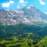 Tuffstein By Interhome Apartmán Grindelwald