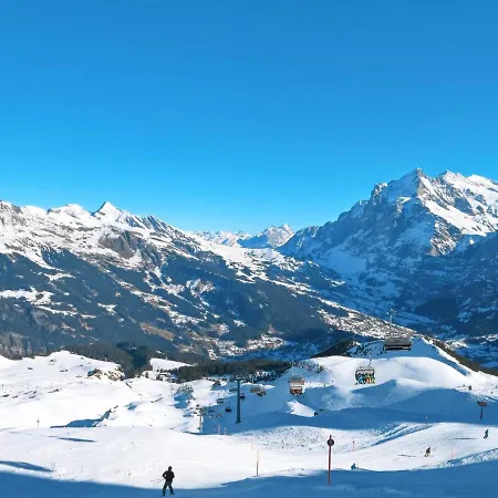 Tuftstein By Interhome Grindelwald